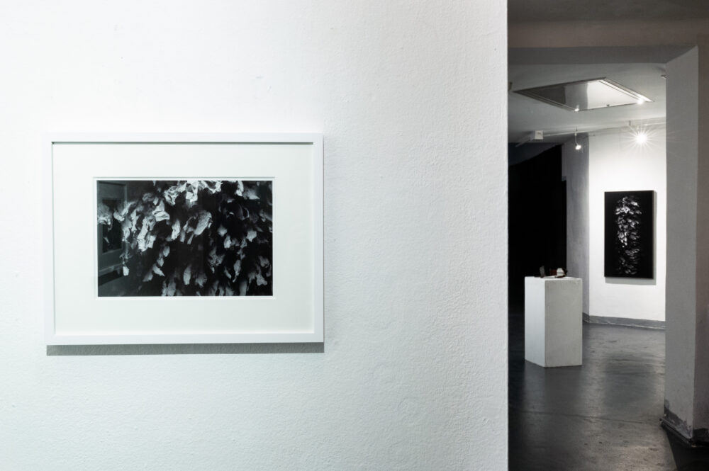 Kunstverein Baden, 2024, photo © Michael Kofler
